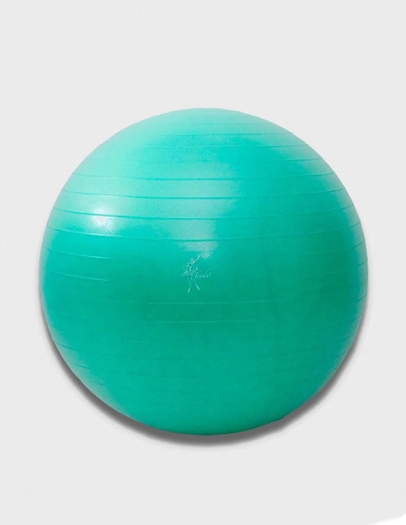 Tendu PBT Stability Exercise Fitness Ball