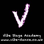 Vibe Stage Academy